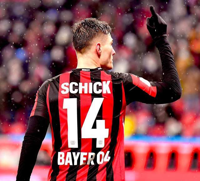 他们不仅可 他们不仅可